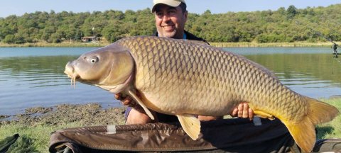 FB_IMG_1758660314074